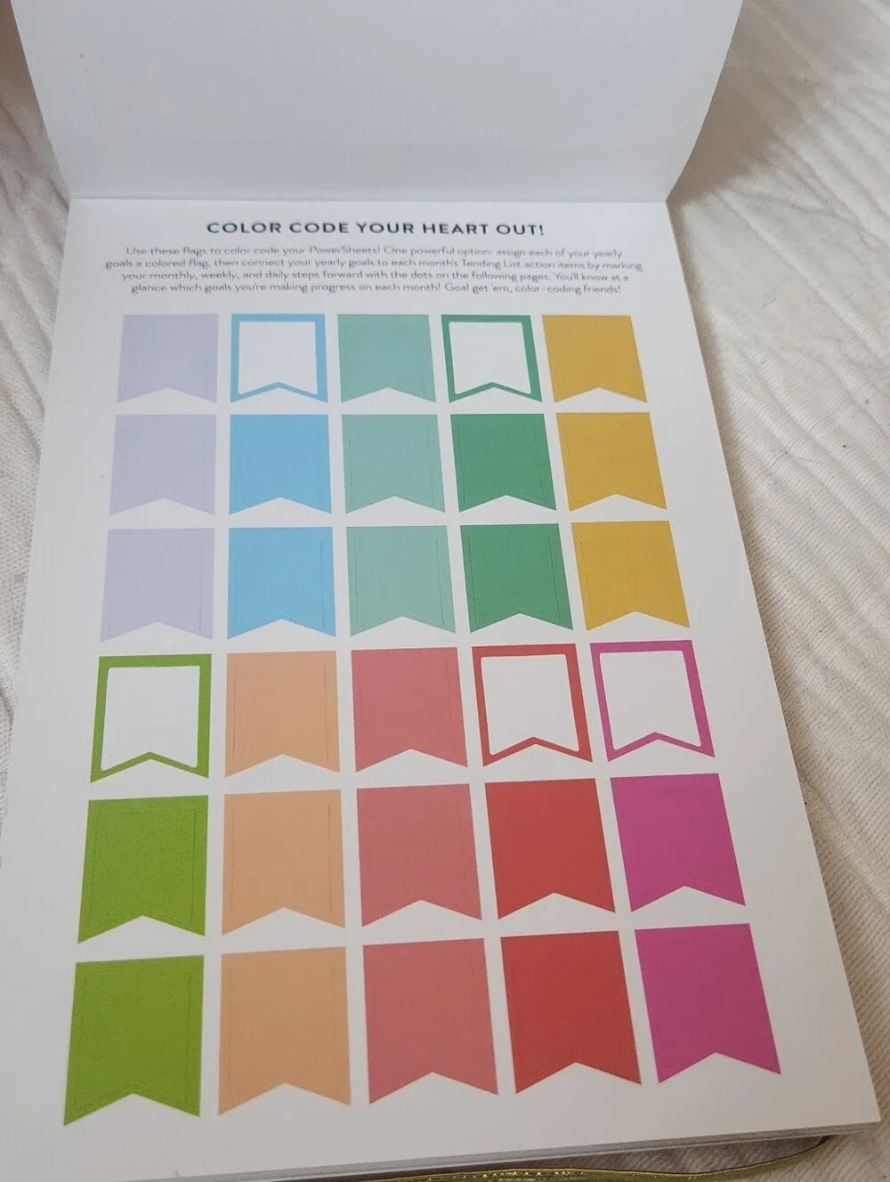 NWOT Cultivate Goal Setting Sticker Book- Pink & Gold Stripes